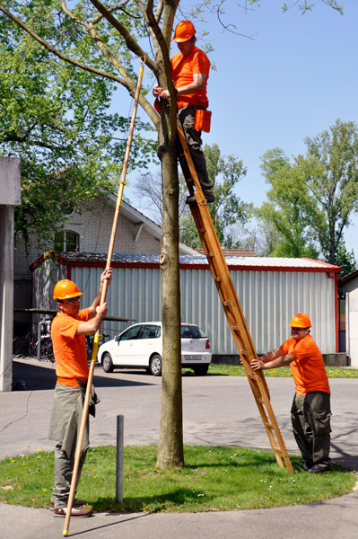 Führungsunterstützung Telefonleitung